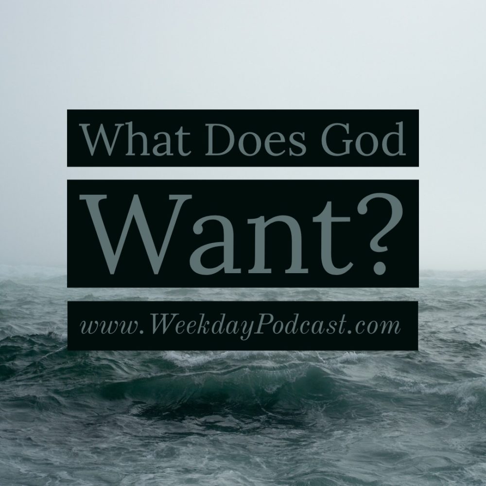What Does God Want? Image