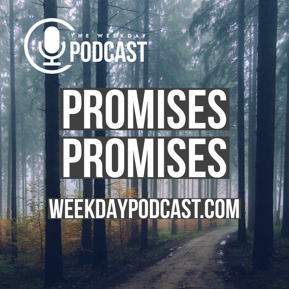 Promises, Promises Image