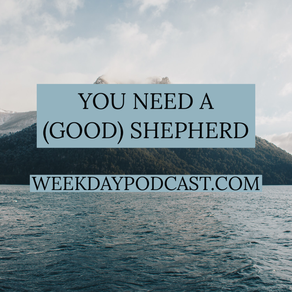You Need a (Good) Shepherd