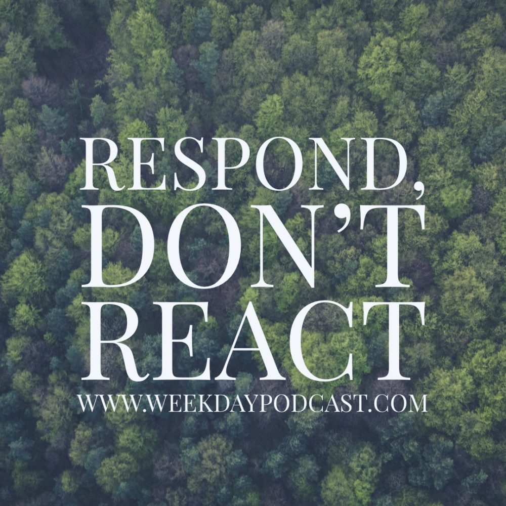 Respond, Don't React Image