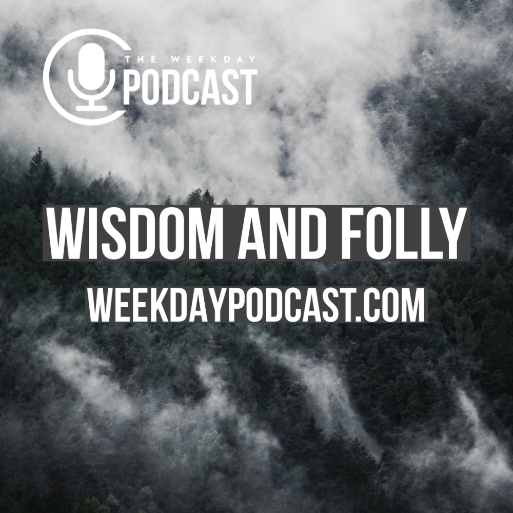 Wisdom and Folly Image