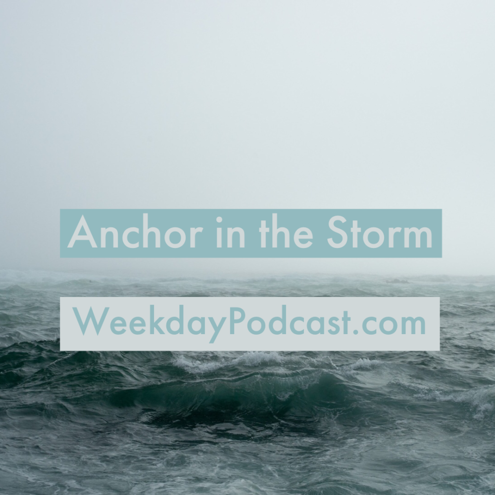 Anchor in the Storm Image