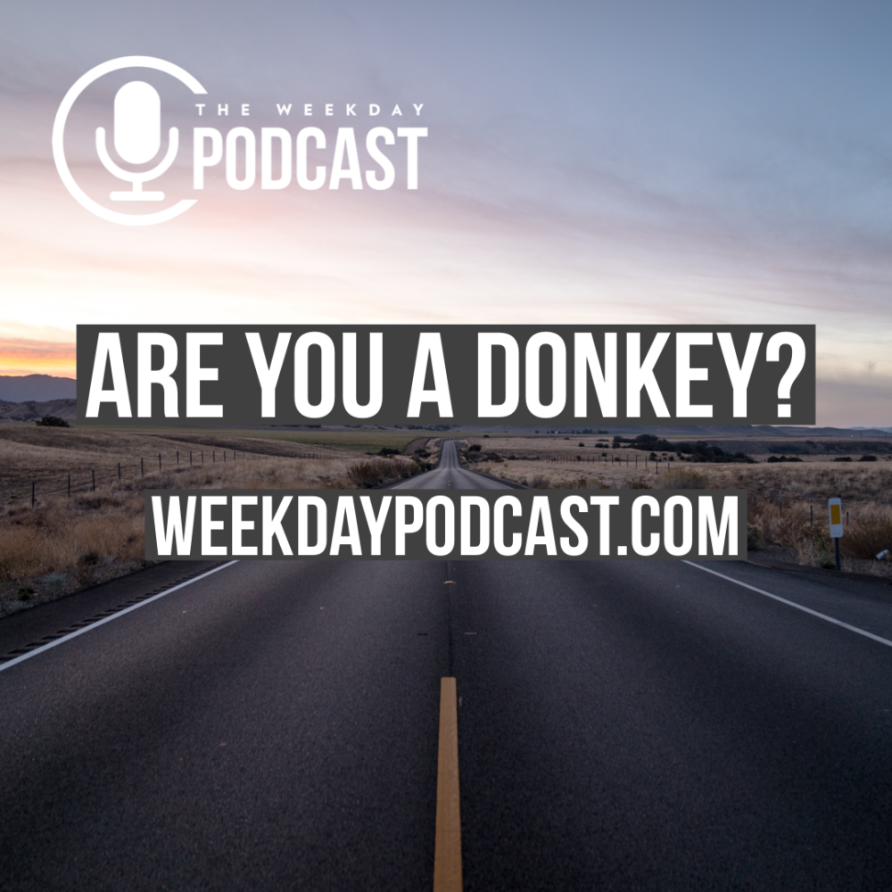 Are You a Donkey? Image
