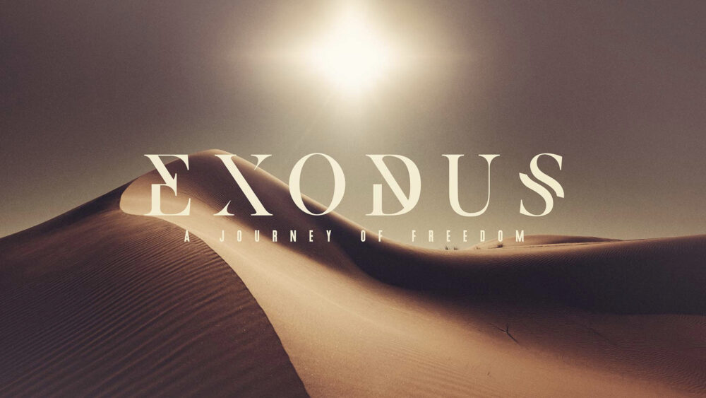 Exodus: Week 3 Image
