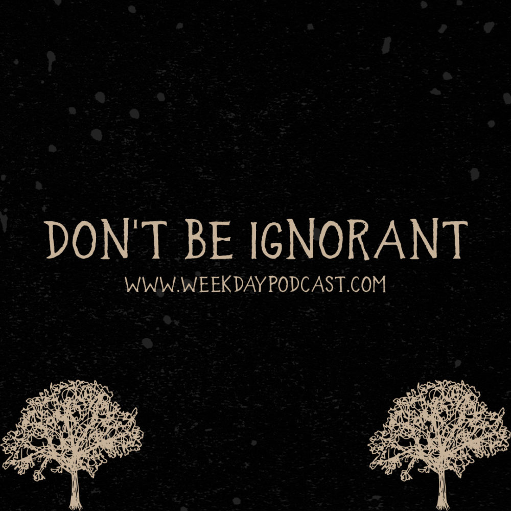 Don't Be Ignorant Image