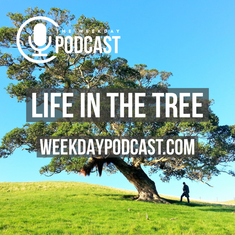 Life in the Tree Image