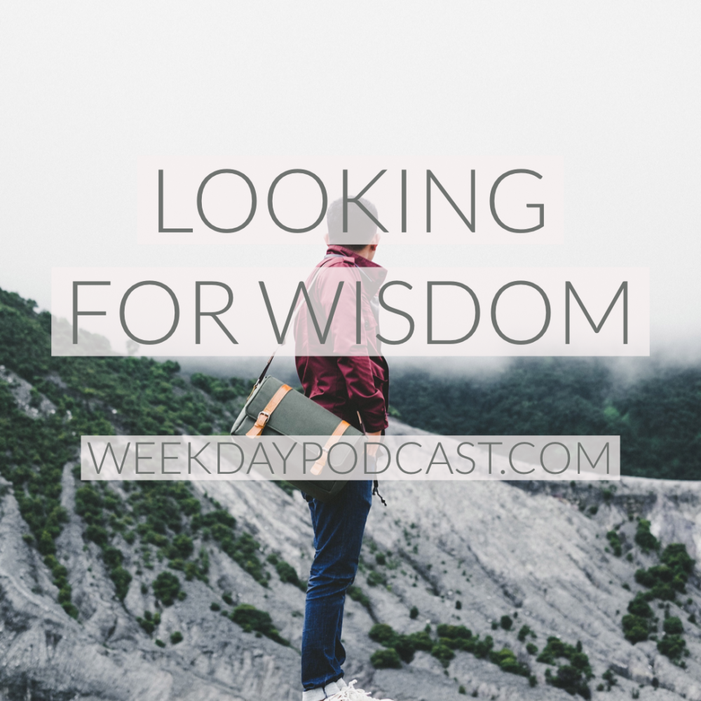 Looking for Wisdom