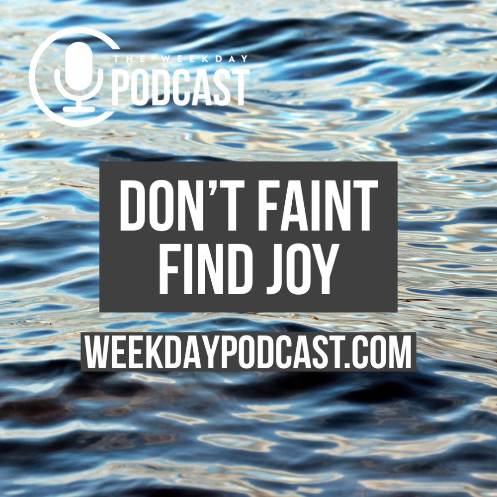 Don't Faint, Find Joy Image