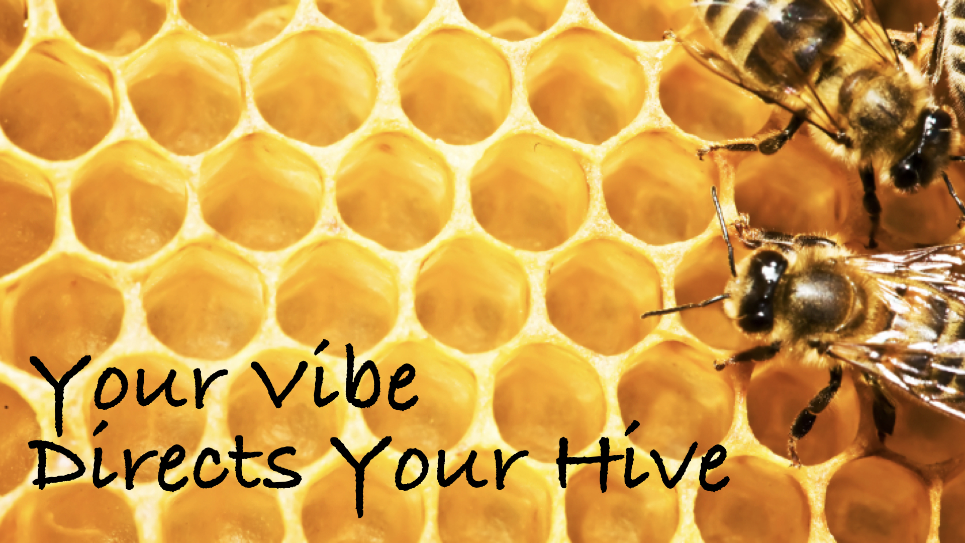 Your Vibe Directs Your Hive