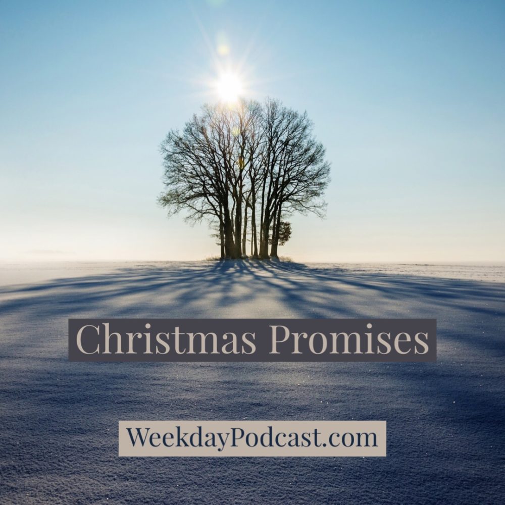 Christmas Promises Image