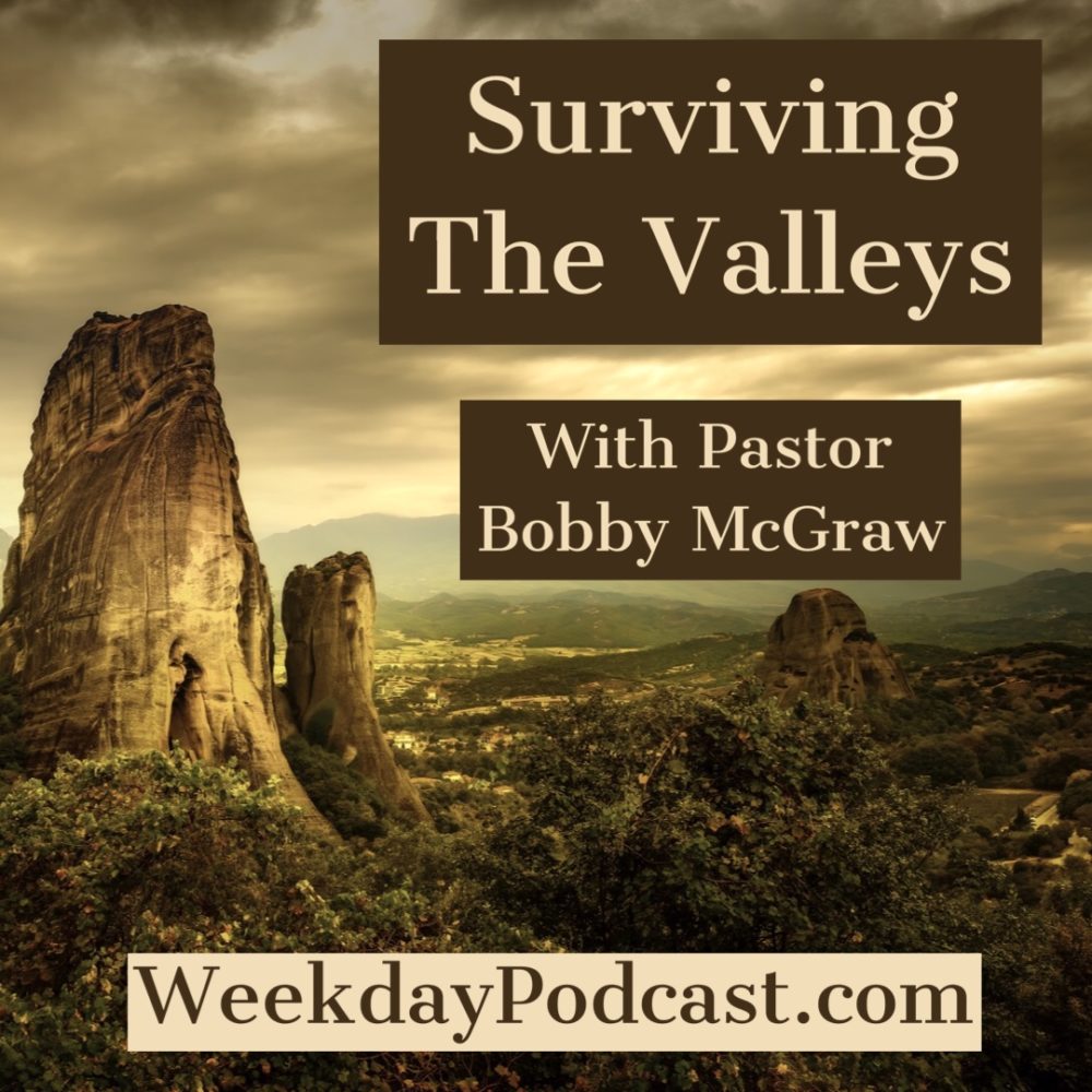 Surviving The Valleys