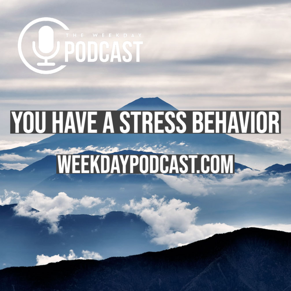 You Have a Stress Behavior Image