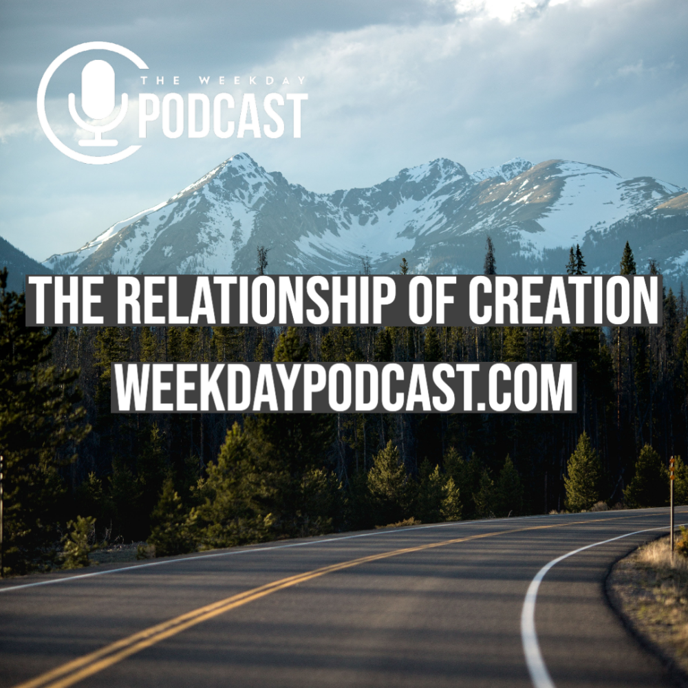 The Relationships of Creation