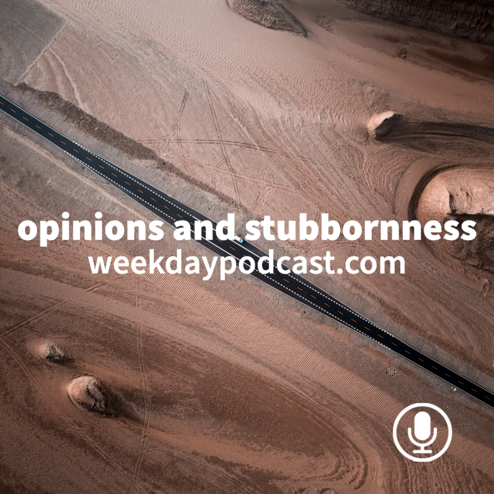 Opinions and Stubborness