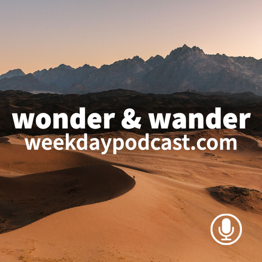 Wonder & Wander Image