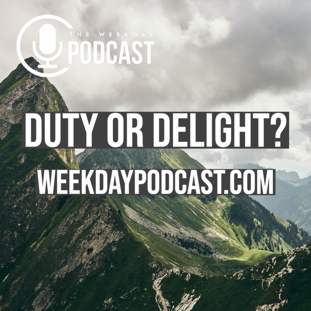 Duty or Delight? Image