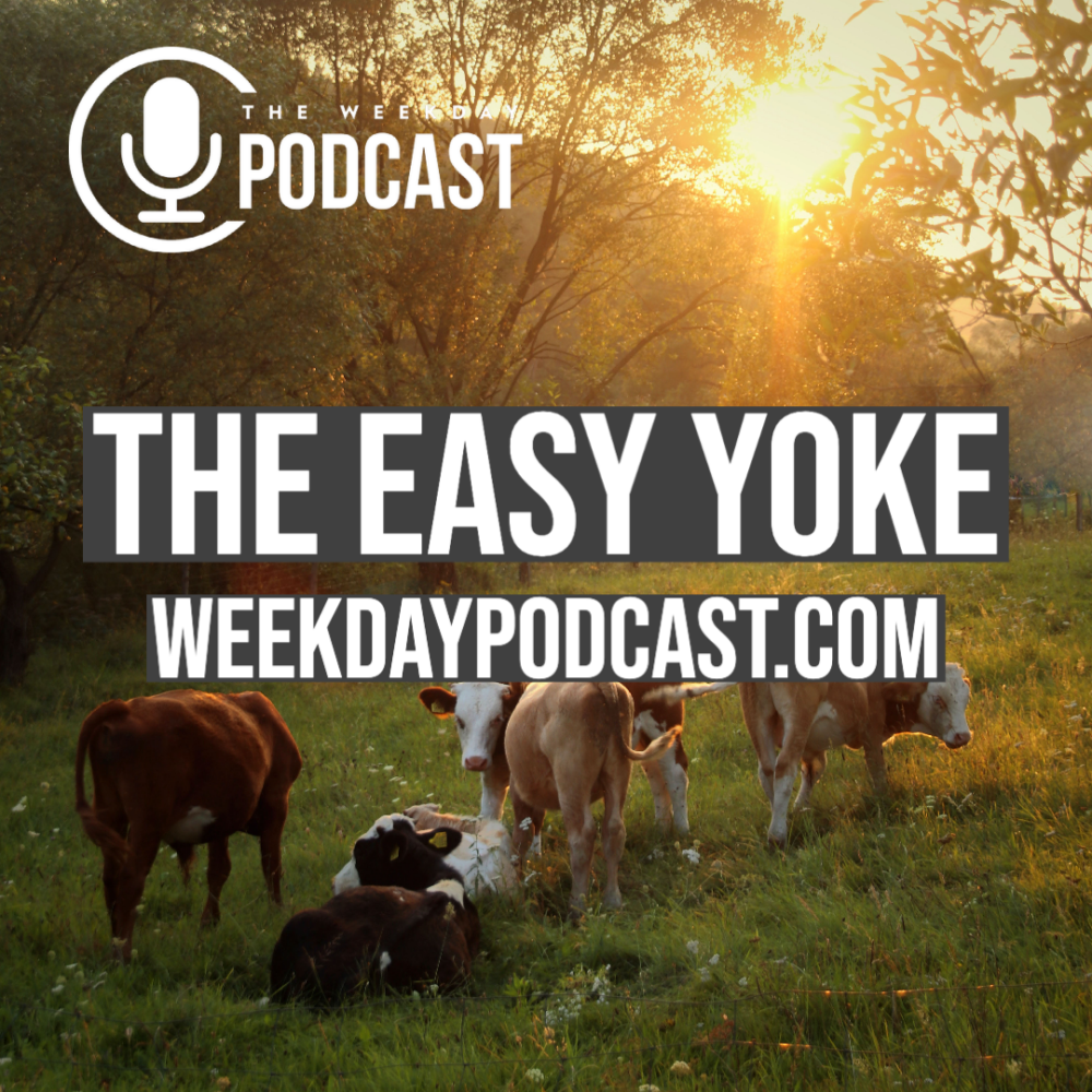 The Easy Yoke