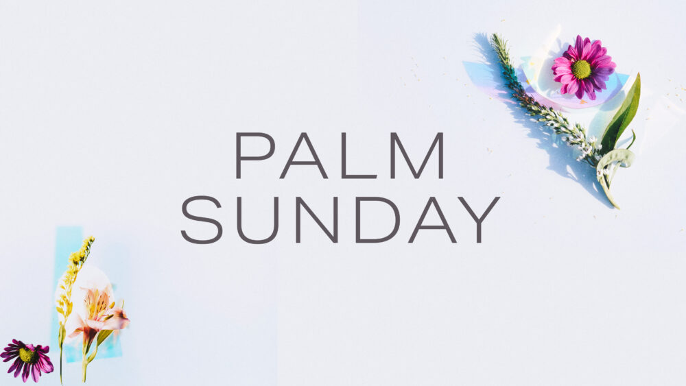Palm Sunday 2024 Image