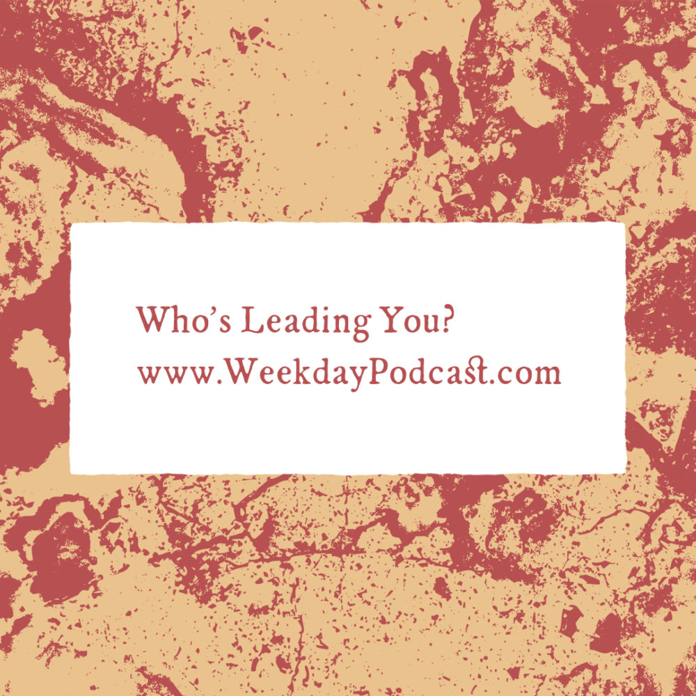Who\'s Leading You? - - November 20th, 2017